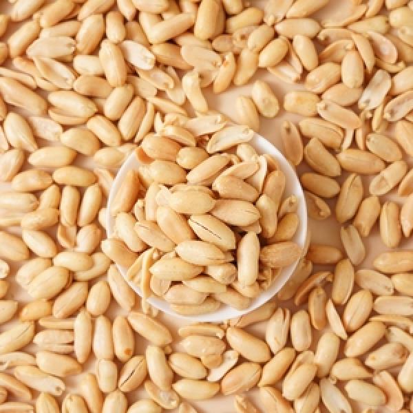 Peanut