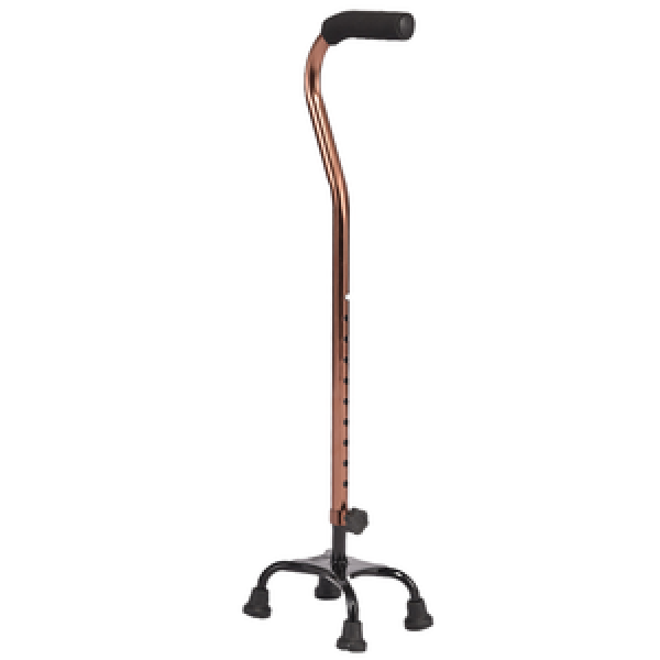 Hiking Sticks