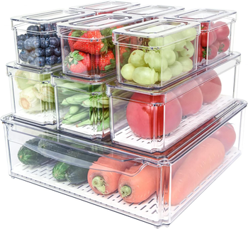 Refrigerator Storage