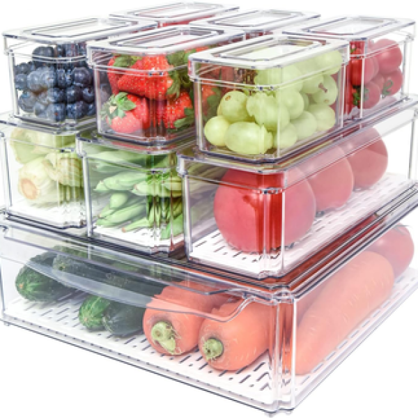 Refrigerator Storage
