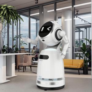 Other Commercial Robots