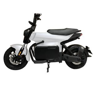 Electric Multi-Purpose Bikes