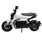 Electric Multi-Purpose Bikes