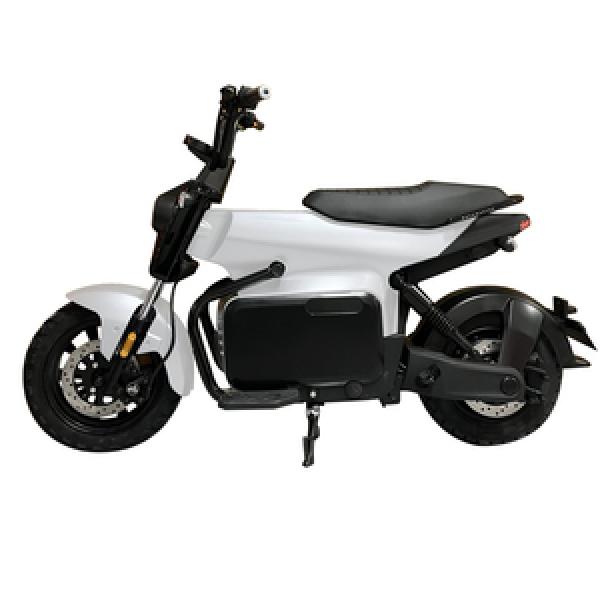 Electric Multi-Purpose Bikes