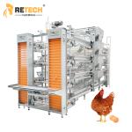 Chicken Meat