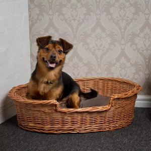 Other Pet Beds & Accessories