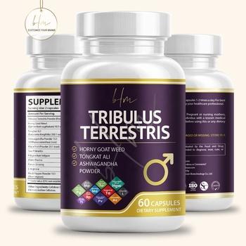 Herbal Supplements
