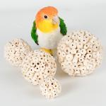 Bird Supplies