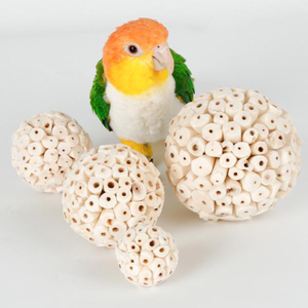 Bird Supplies