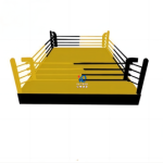 Boxing Ring