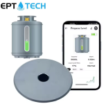 Liquefied Petroleum Gas