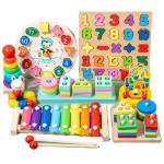 Other educational toys