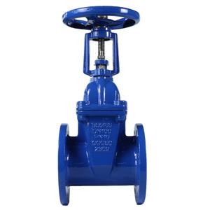 Gate Valve