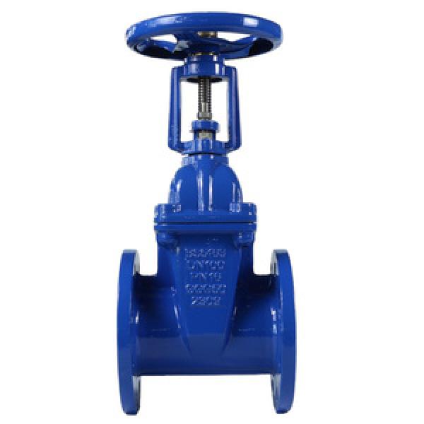 Gate Valve