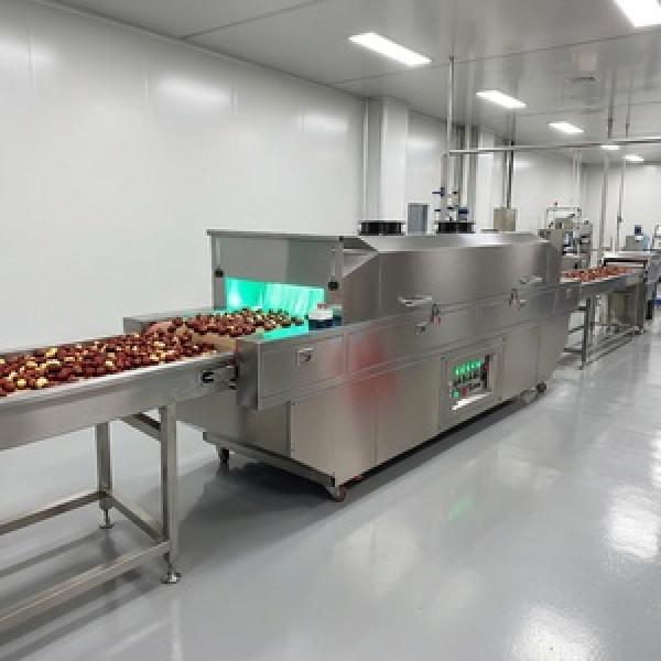 Food Sterilizer