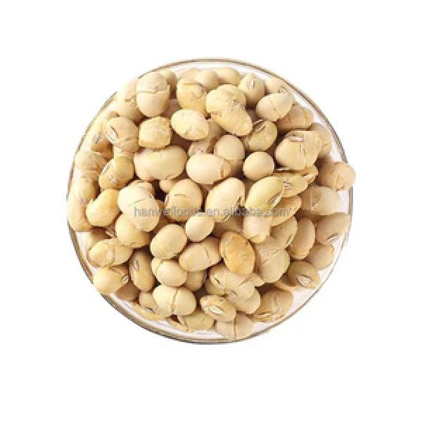 Soybean Snacks