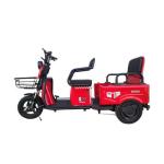 Motorized Tricycle
