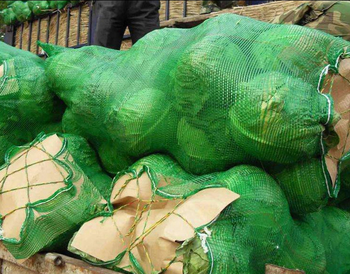 Fresh Broccoli
