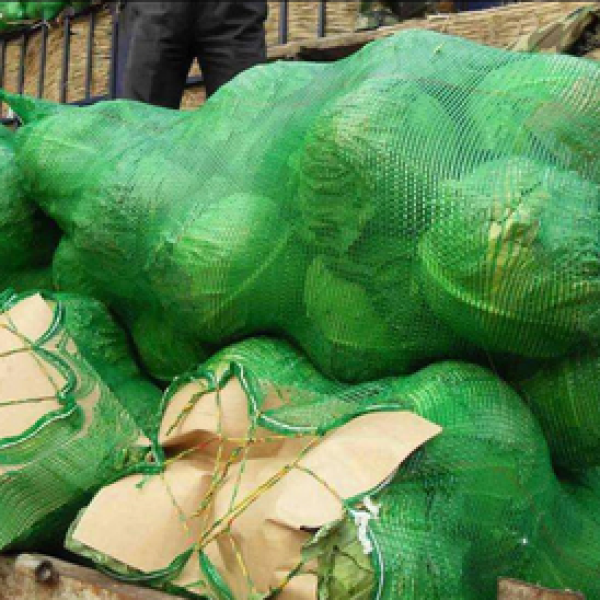 Fresh Broccoli
