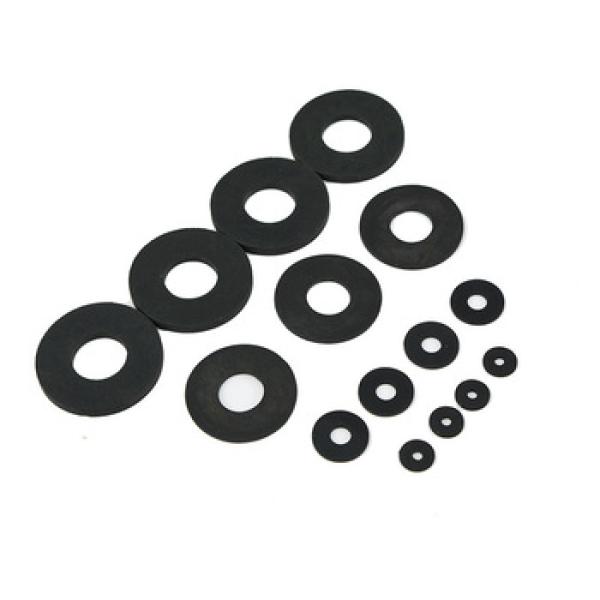 Fluorine Rubber