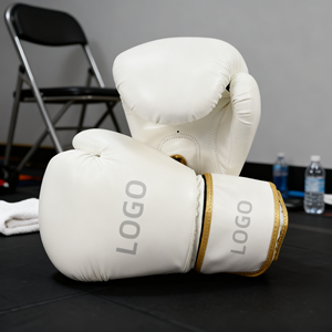 Other Boxing Supplies