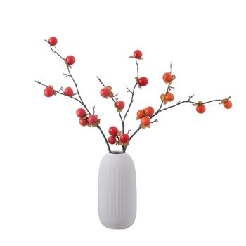 Fresh Apricot