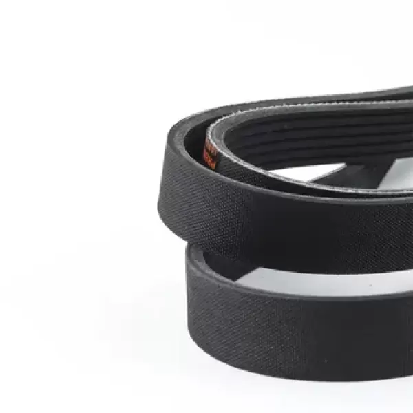 Fabric Belt