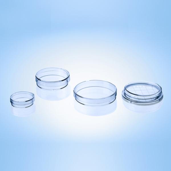 Covered Petri Dish