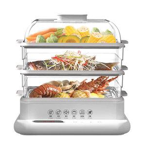 Electric Steamer