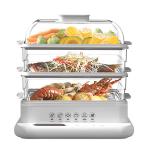 Electric Steamer