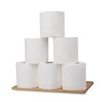 Toilet Roll (Small)