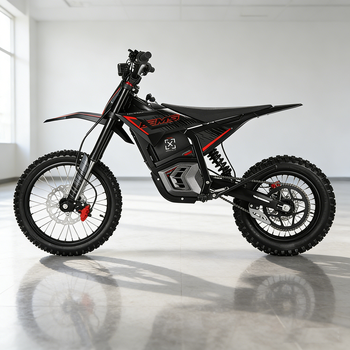 Electric Motorcycle