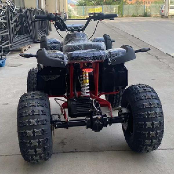 Electric ATV