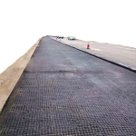 Geogrid