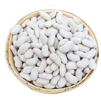 Vanilla Bean