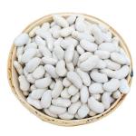 Vanilla Bean