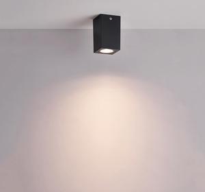 Outdoor Ceiling Light