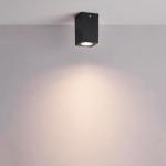 Outdoor Ceiling Light