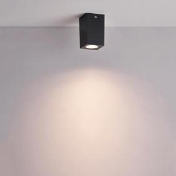 Outdoor Ceiling Light