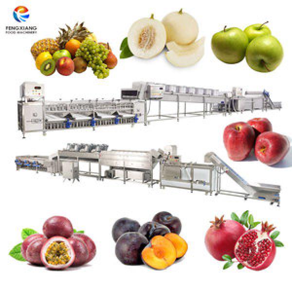 Food Processor