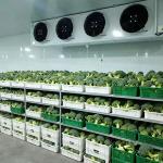 Refrigeration Equipment