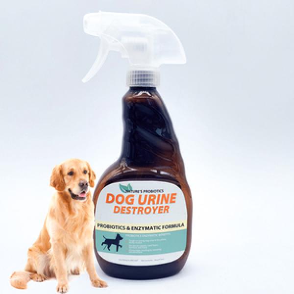 Urinal Deodorizer