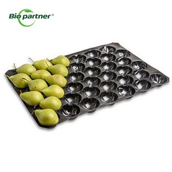 Fresh Avocado