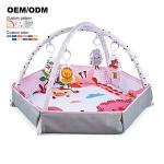 Baby Fitness Toys