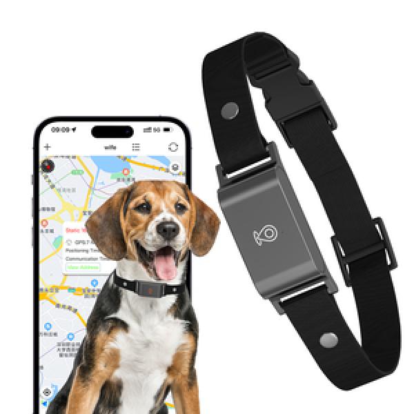 Pet Tracker