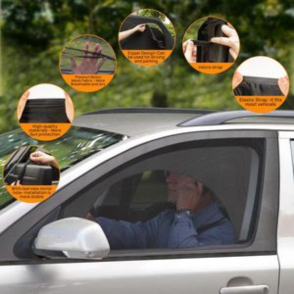 Car Window