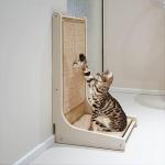 Cat Trees & Scratching Posts