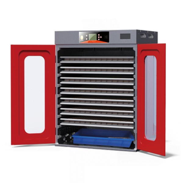 Egg Incubator