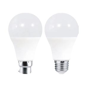 Light Bulb