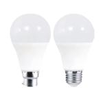 Light Bulb